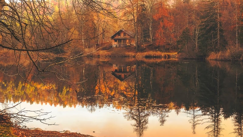 Floating Cabins