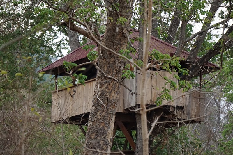 Treehouse Camping
